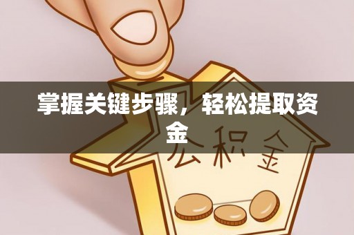 沐川掌握关键步骤，轻松提取资金