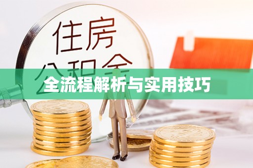 沐川全流程解析与实用技巧