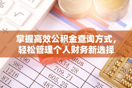 沐川掌握高效公积金查询方式，轻松管理个人财务新选择