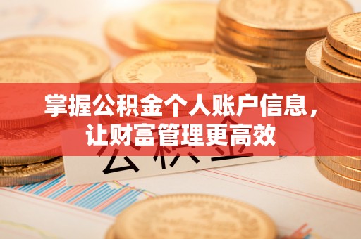 沐川掌握公积金个人账户信息，让财富管理更高效