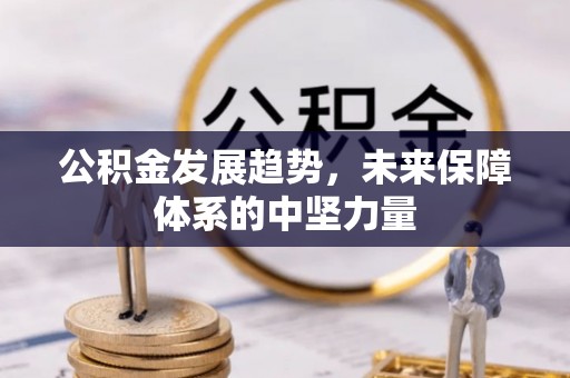 沐川公积金发展趋势，未来保障体系的中坚力量
