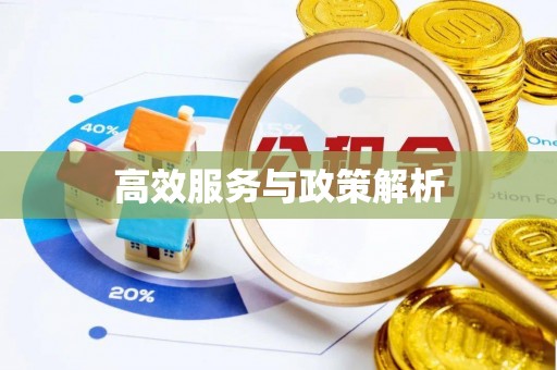 沐川高效服务与政策解析