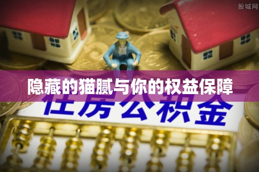 沐川隐藏的猫腻与你的权益保障