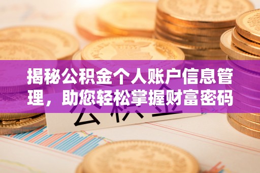 沐川揭秘公积金个人账户信息管理，助您轻松掌握财富密码