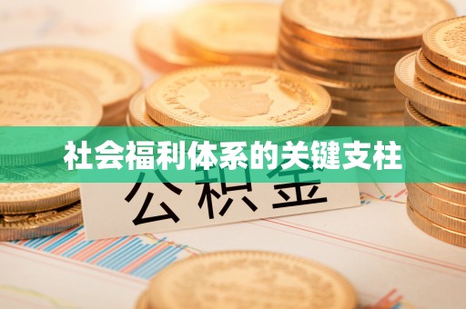 沐川社会福利体系的关键支柱