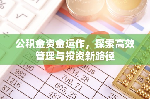 沐川公积金资金运作，探索高效管理与投资新路径