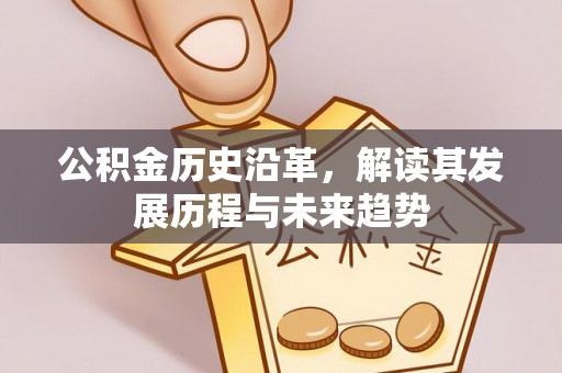 沐川公积金历史沿革，解读其发展历程与未来趋势