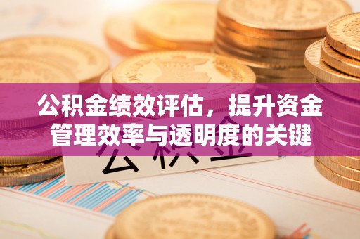 沐川公积金绩效评估，提升资金管理效率与透明度的关键