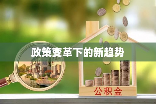 沐川政策变革下的新趋势
